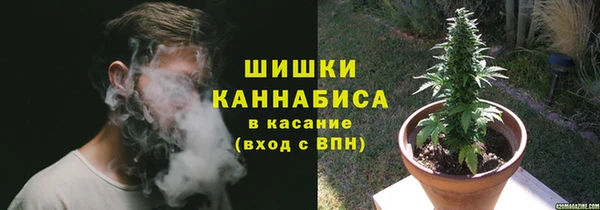 метадон Богданович
