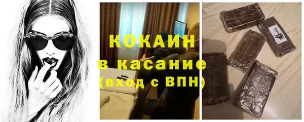 хмурый Гусев