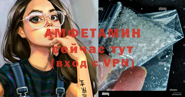 метадон Богданович
