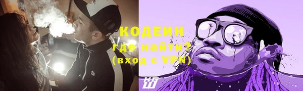 метадон Богданович