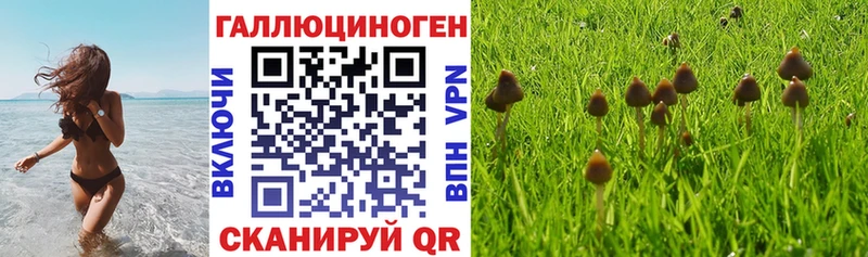 маркетплейс наркотические препараты  Озёрск  Галлюциногенные грибы Magic Shrooms  OMG сайт 